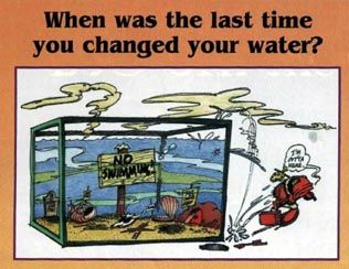 change your water!