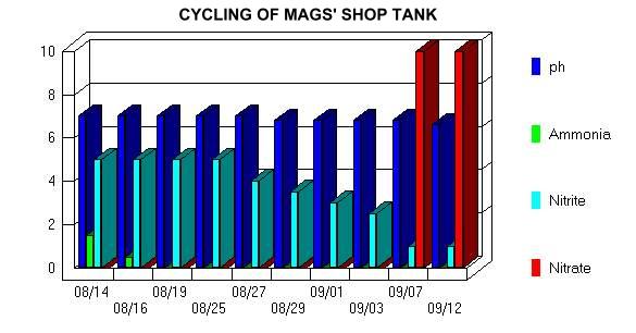 mags cycle