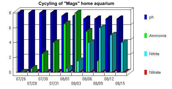 mags cycle