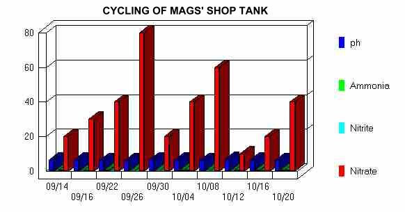 mags cycle