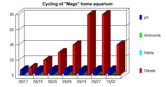 mags cycle